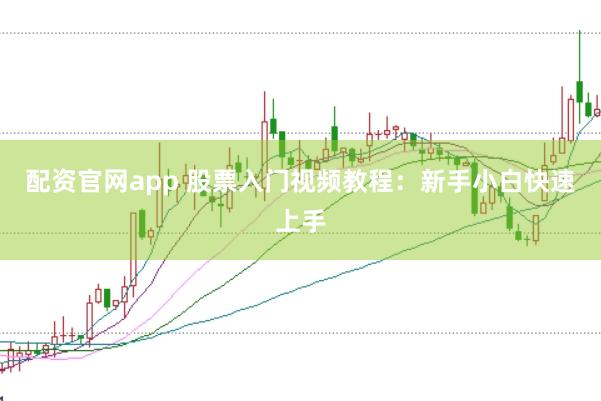 配资官网app 股票入门视频教程：新手小白快速上手