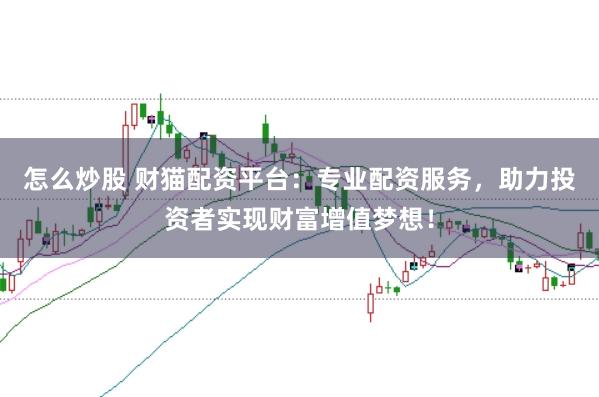 怎么炒股 财猫配资平台：专业配资服务，助力投资者实现财富增值梦想！