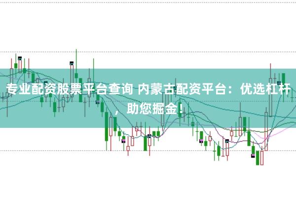 专业配资股票平台查询 内蒙古配资平台：优选杠杆，助您掘金！