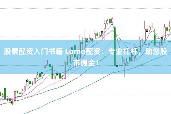 股票配资入门书籍 Lomo配资：专业杠杆，助您股市掘金！