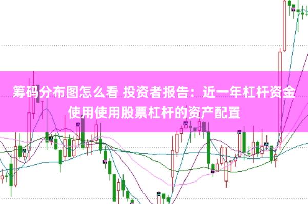 筹码分布图怎么看 投资者报告：近一年杠杆资金使用使用股票杠杆的资产配置
